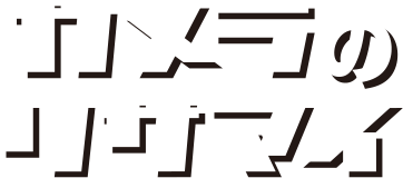 カメラのリサマイ